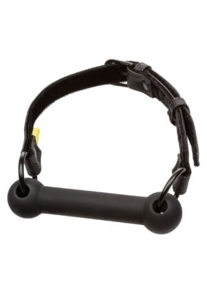 CalExotics | Boundless Bar Gag