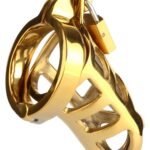 38344_GOLD_01 Mr. Steel | Brutal Chastity Cage Gold