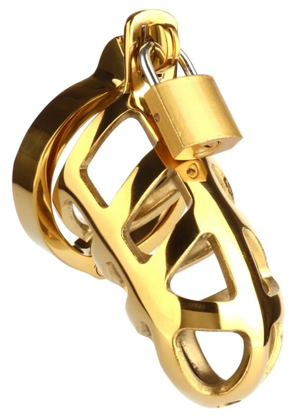 38344_GOLD_02 Mr. Steel | Brutal Chastity Cage Gold