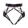 70807_BLACK_05_43d9aff7-ee2d-406c-ac03-cd8db0fe3337 Kinky Diva | Luxury Harness Briefs