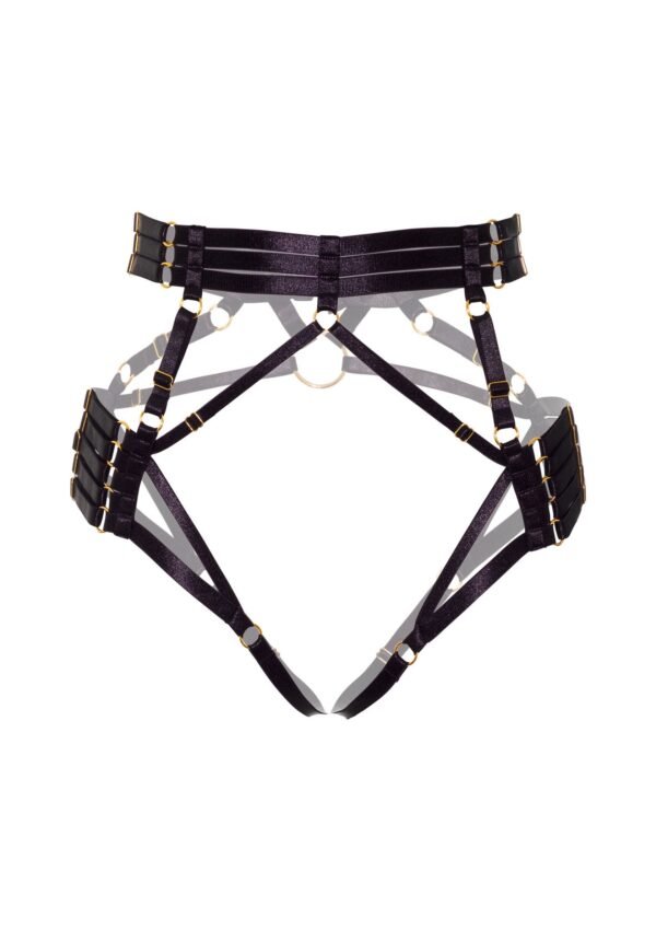 70807_BLACK_05_43d9aff7-ee2d-406c-ac03-cd8db0fe3337 Kinky Diva | Luxury Harness Briefs