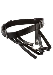 12775_BLACK_01_aa522cdb-516b-4593-844e-92212dfd1713 CalExotics | Harness Premium Ring Harness
