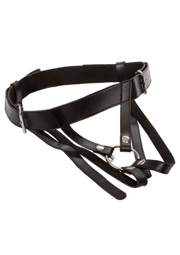 CalExotics | Harness Premium Ring Harness