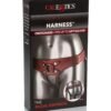 CalExotics | Harness The Regal Empress