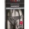 CalExotics | Harness The Regal Empress