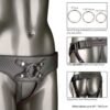 CalExotics | Harness The Regal Empress