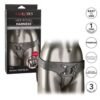 CalExotics | Harness The Regal Empress