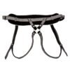 CalExotics | Harness The Regal Princess Grey