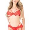 Daring Intimates | Unlined Bra Set With Garter