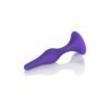 CalExotics | Booty Call Booty Anal Trainer Kit