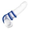 CalExotics | Admiral Triple Cock Cage Blue