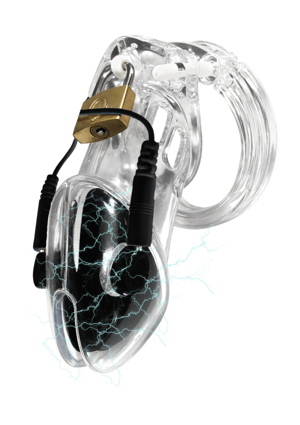Hidden Desire | Chastity Electro Cock Cage