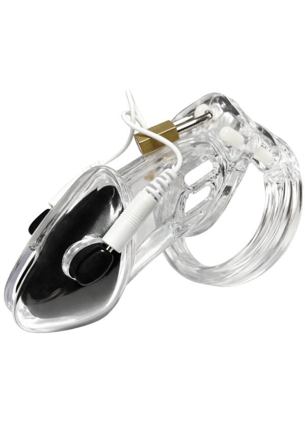 Hidden Desire | Chastity Electro Cock Cage