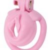 Hidden Desire | Sissy Trainer Cock Lock X-Short