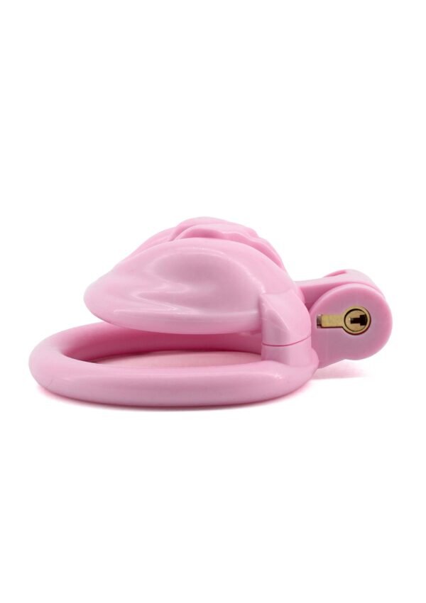 Hidden Desire | Sissy Trainer Cock Lock X-Short